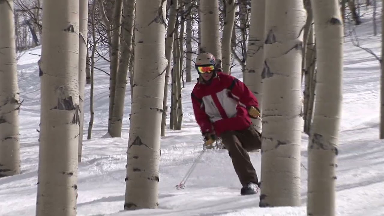 Amputee Goes Skiing Through a Forest - 1284957-8