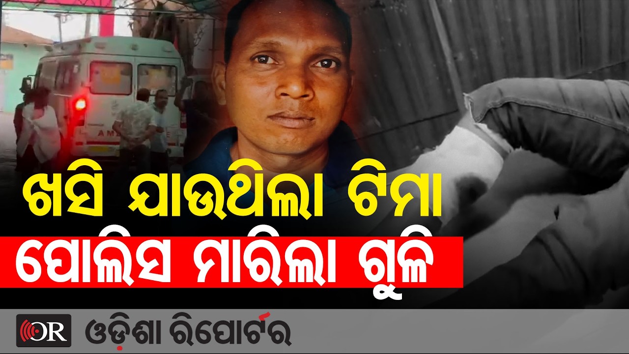 ଆତଙ୍କ ମଚାଉଥିଲା ଟିମା  | Odisha Reporter