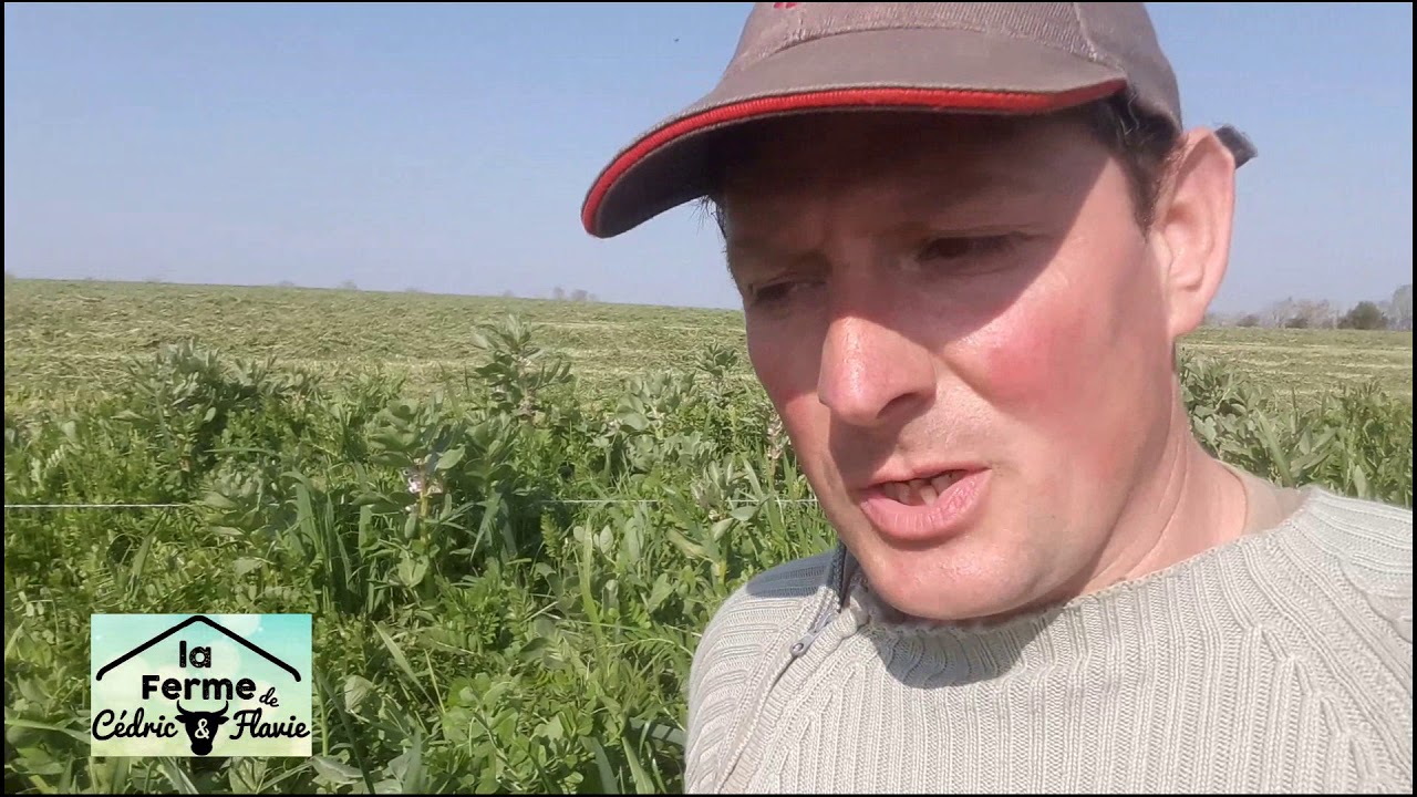 ensilage meteil