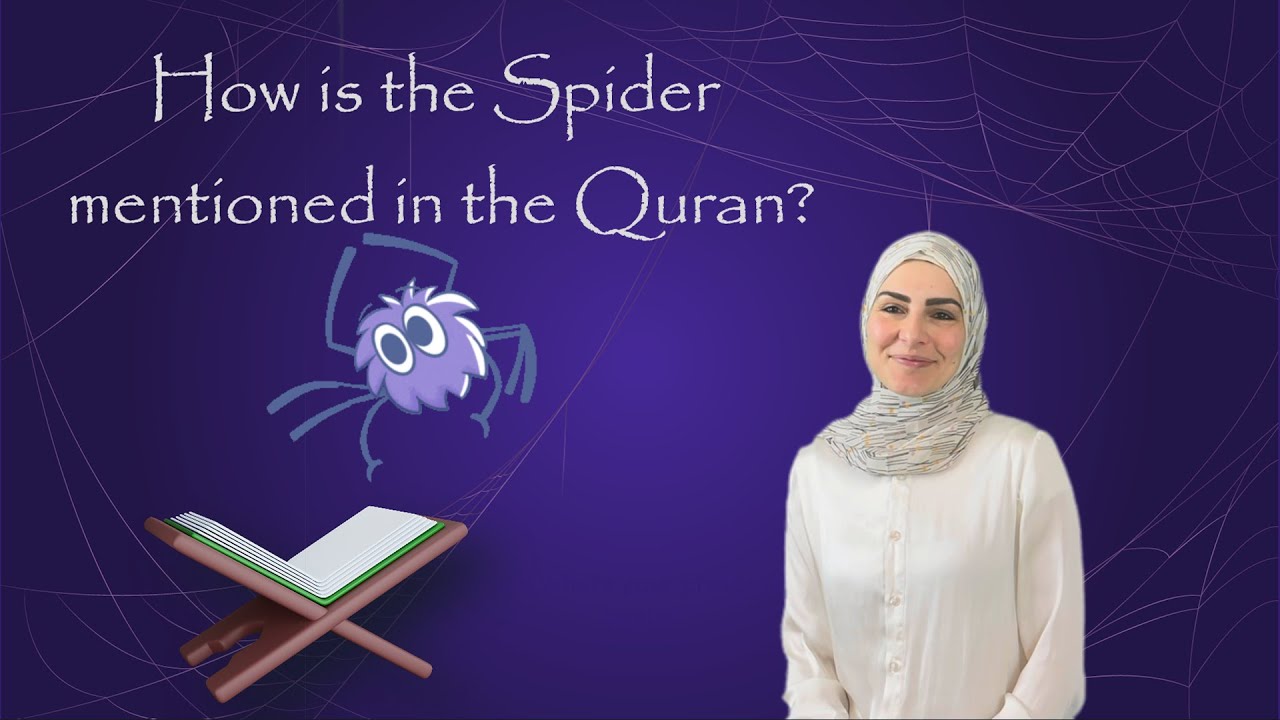 Animals in the Quran- The Spider🕷️🕸️.