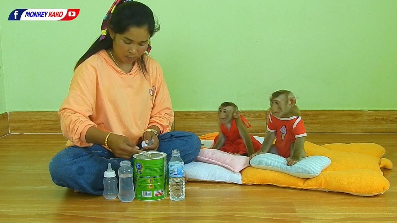 Hurry Up MOM Baby LUNA And Obedient KAKO Crying Request Drink Milk