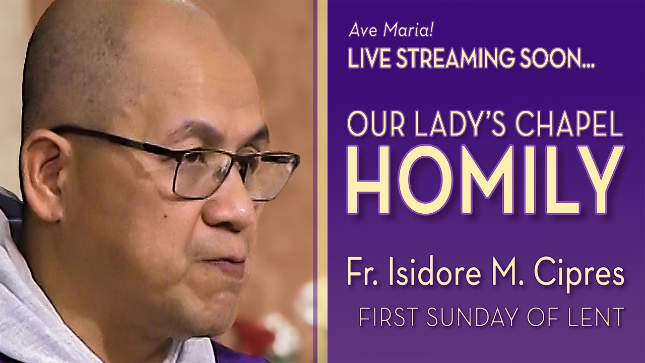 First Sunday of Lent - February 22, 2026 - OLC HOMILY