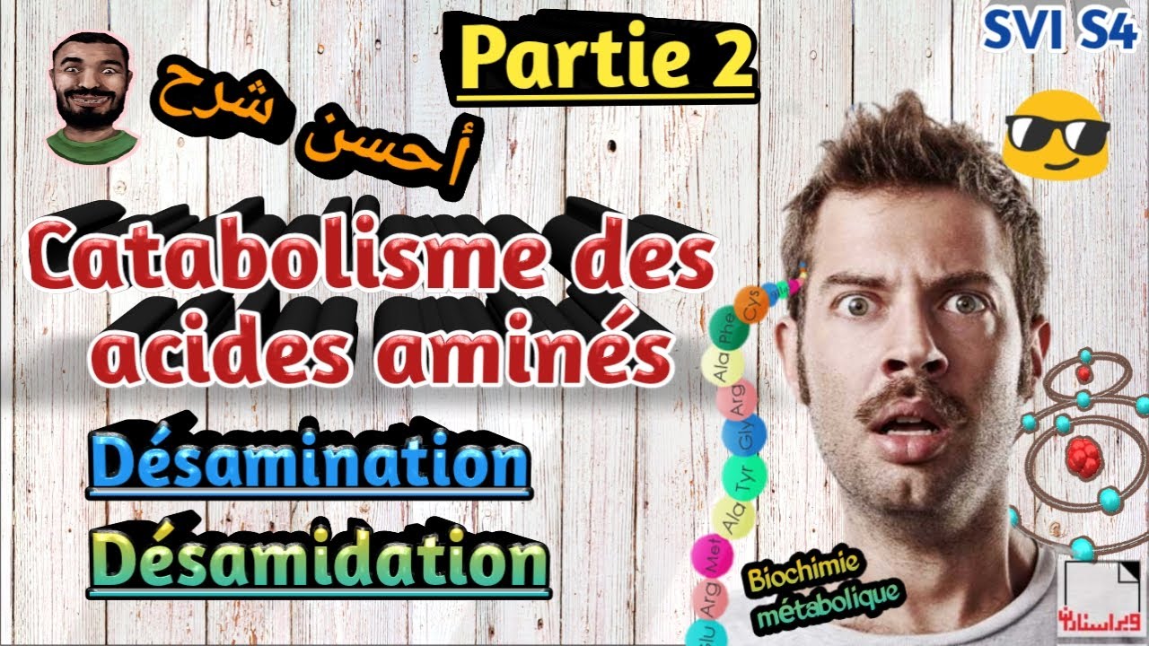 Biochimie métabolique en Arabe, Catabolisme des acides aminés, Partie2.