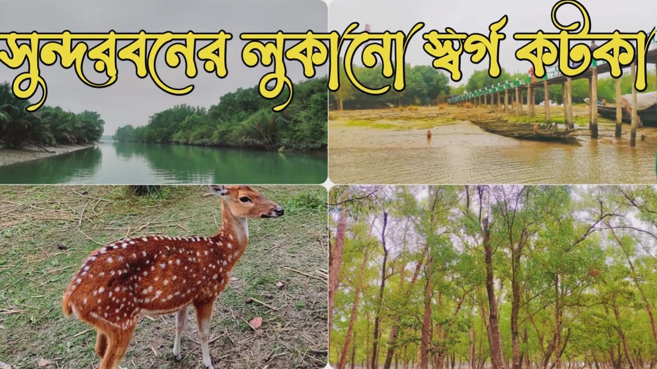 সুন্দরবনের লুকানো স্বর্গ কটকা | এমন দৃশ্য আগে দেখেননি | Kotka Tour Bangladesh | Sundarban 