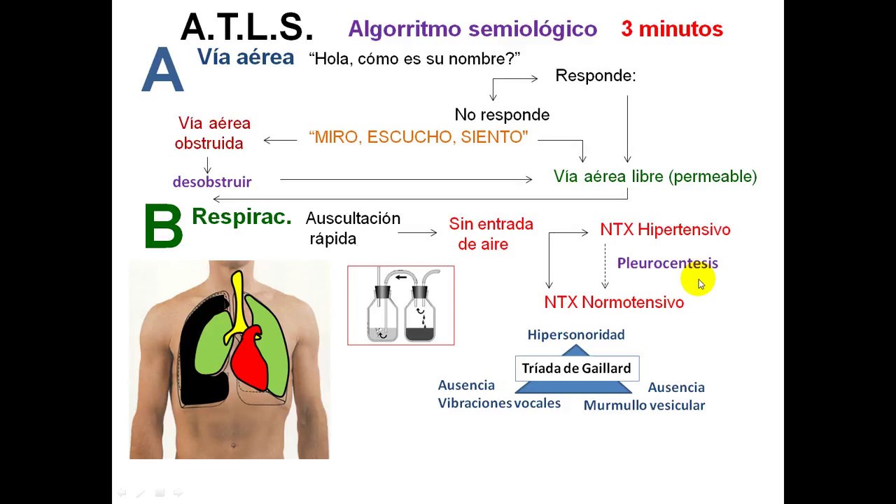 Algorritmo semiológico en trauma pptx