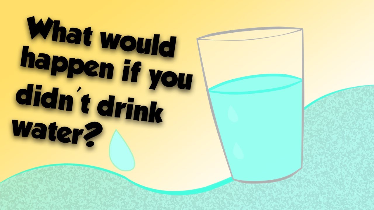 What happens if we do not drink water? - Copycat