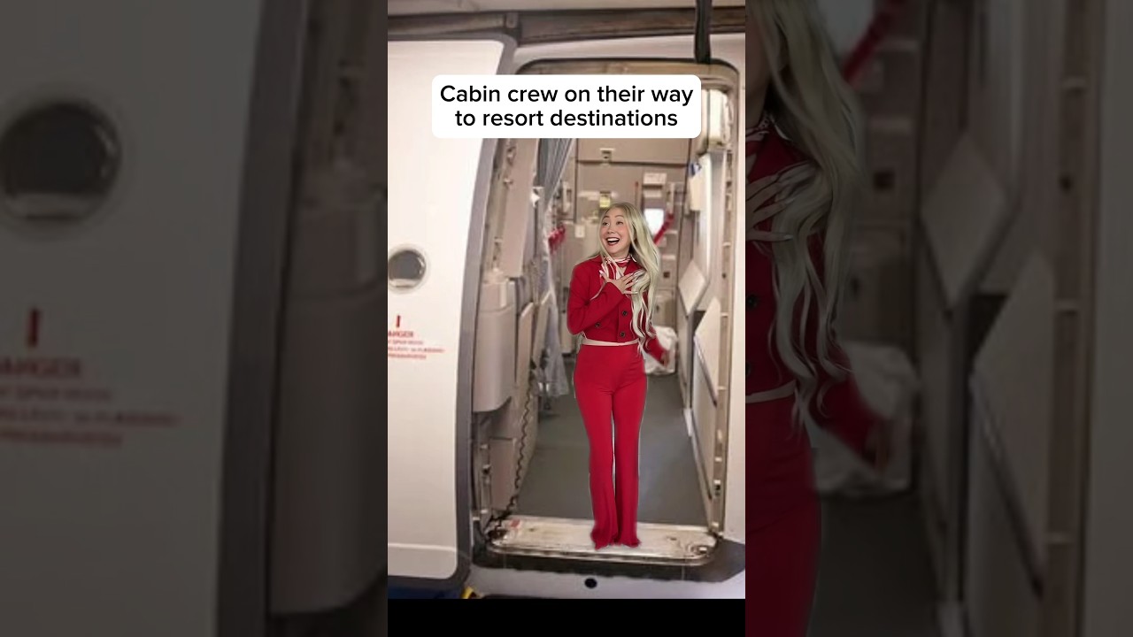 FLIGHT ATTENDANTS ON RETURN FLIGHTS NEVER LOOK THE SAME 😂
