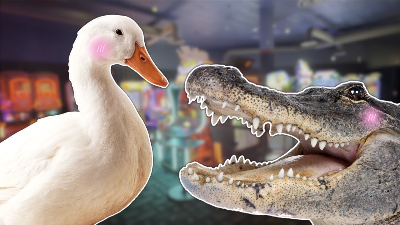 Taking a Look at the Wacky Animals Arcade Games