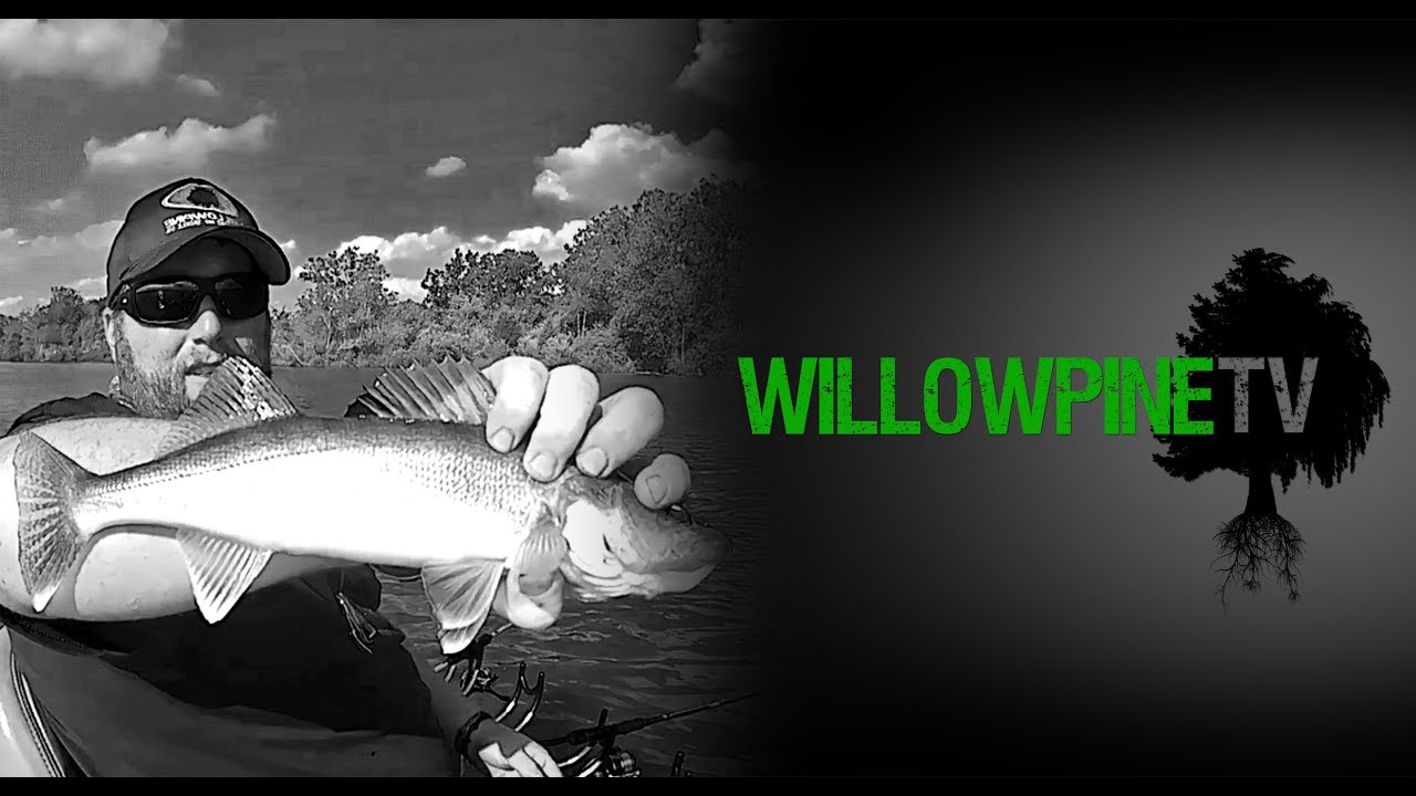 WPTV #5 - Memorial Day Walleye Fishing - Brookville & Prairie Creek