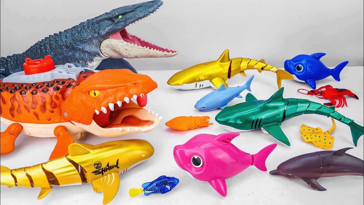 [🦈toy asmr🦈] Mosasaurus & Shark & Dolphin & Sea Animal Toys Collection | Satisfying With Unboxing