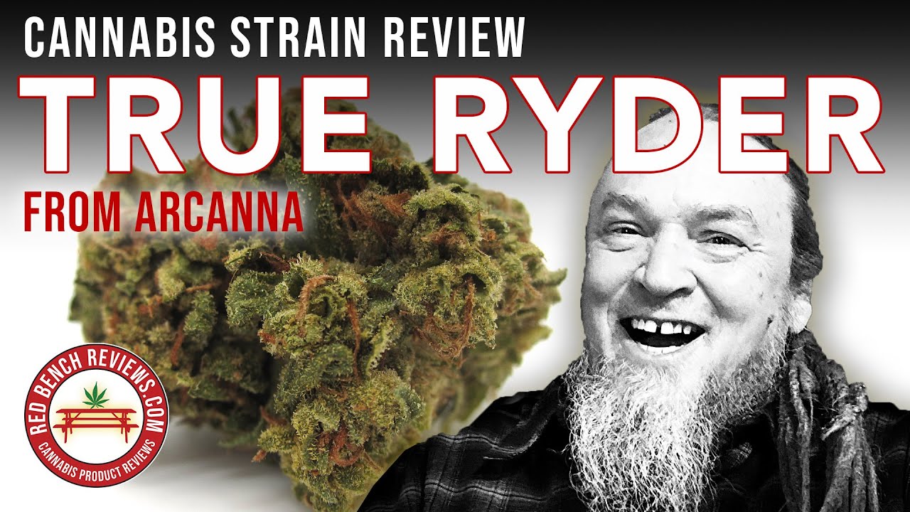 Arcanna Cannabis Flowers | True Ryder Strain Review | 19.79% THC