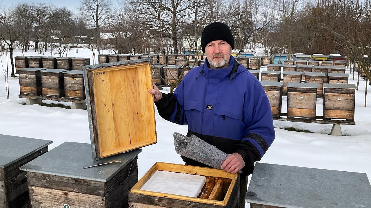 Час утеплювати бджоли. Beekeeping (15.02.2026 р.)