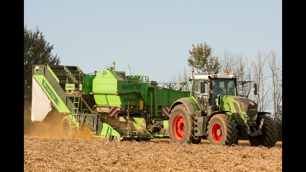 Arrachage de PDT | Fendt 828 Vario & AVR Spirit 8200