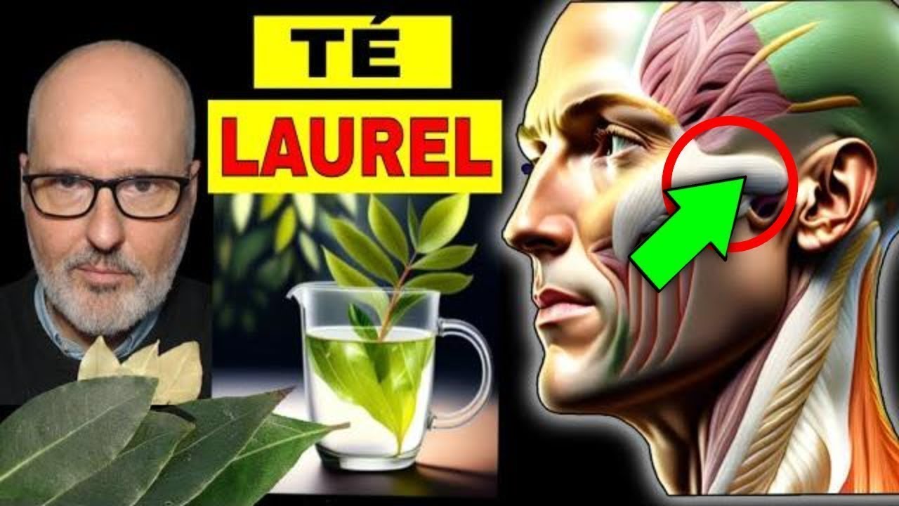 ENFERMEDADES que SANAN con TÉ de LAUREL (CÓMO USARLO) 🌿🍵