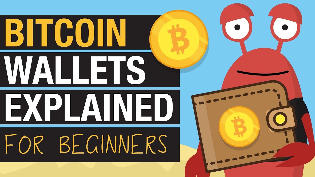 Bitcoin Wallets Explained for Beginners