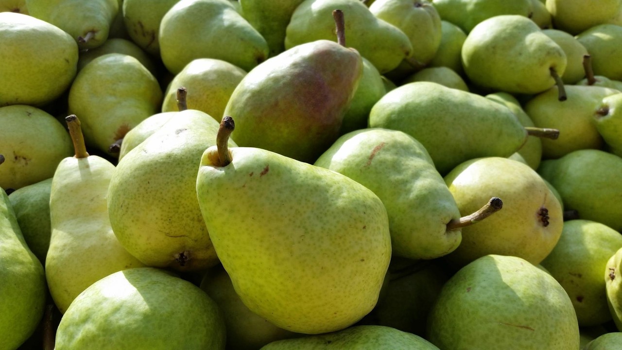 pears
