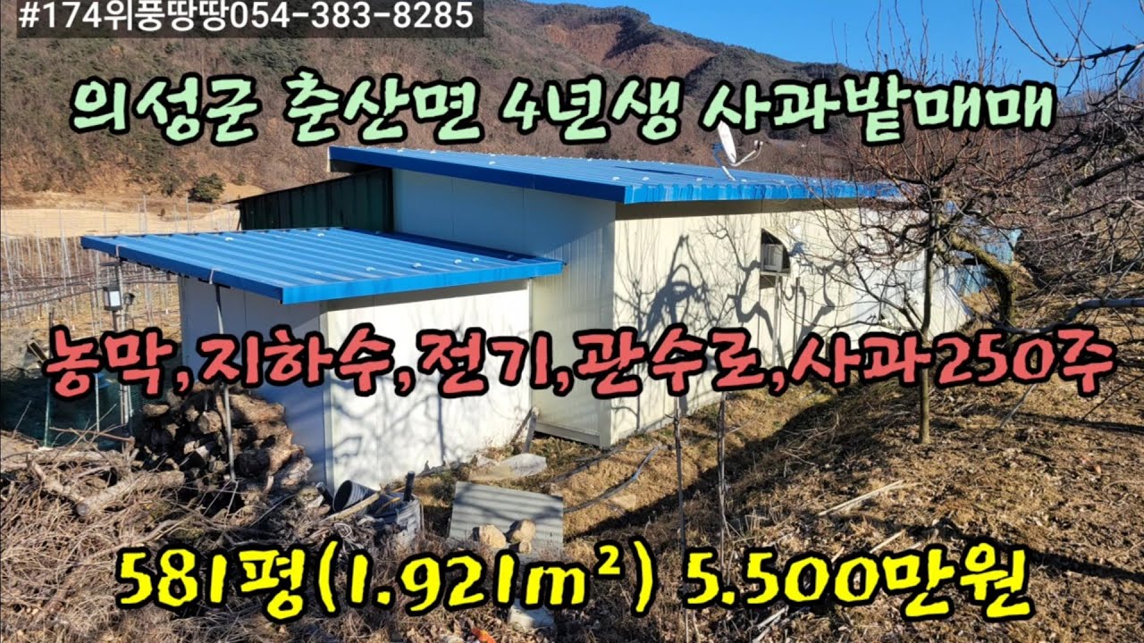 #174경북위풍땅땅    의성군춘산면금오리사과밭250주4년생농막,지하수,전기,관수로581평