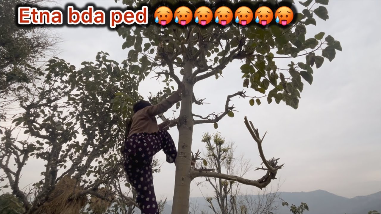 Etna bda ped 🥵🥵🥶