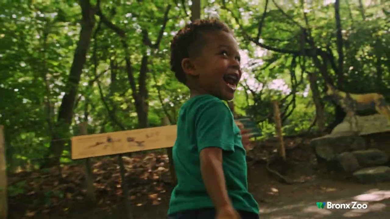 African Plains 2025 | Bronx Zoo (15)