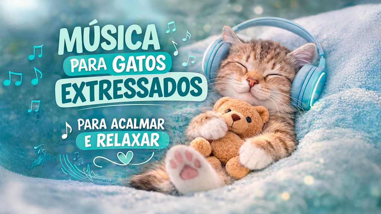 Coloque Essa Música e Seu Gato Vai Relaxar na Hora