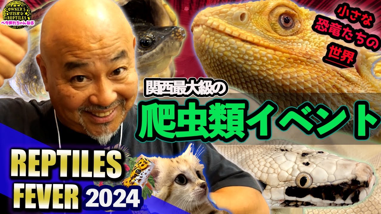 【大公開】今年のフィーバーも凄かった【レプタイルズフィーバー】