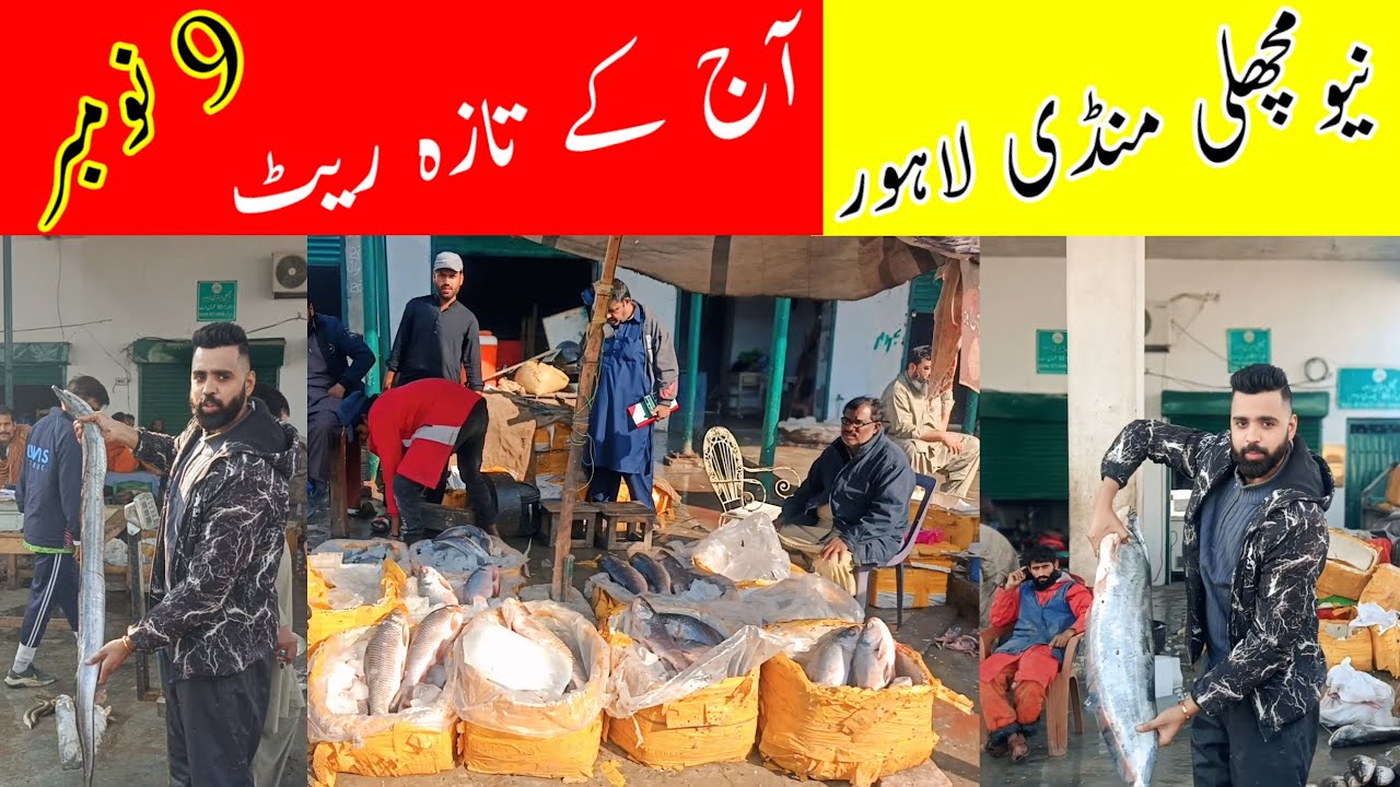 New Fish Market Lahore Today&rsquo;s Fresh Rates | 9 November 2025 Big Wholesale Update