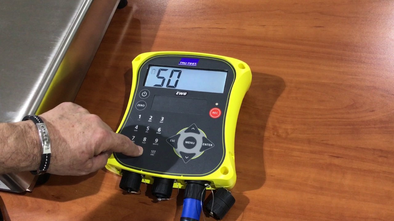 Como calibrar indicador Ew5 con plataforma PP50