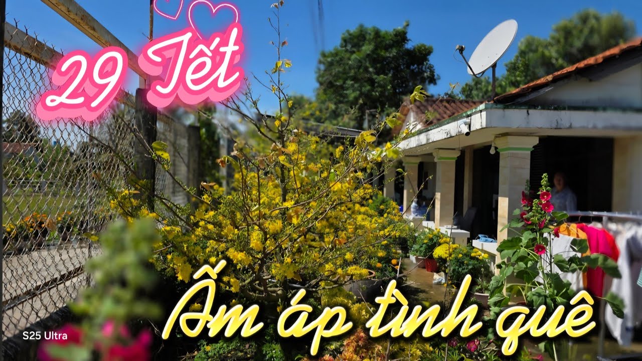 29 Tết, Ấm áp tình quê