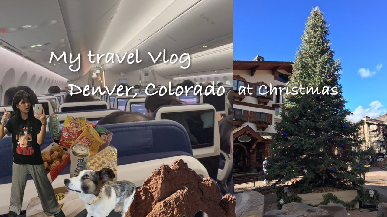 미국 크리스마스 Vlog #크리스마스 #콜로라도 #덴버 