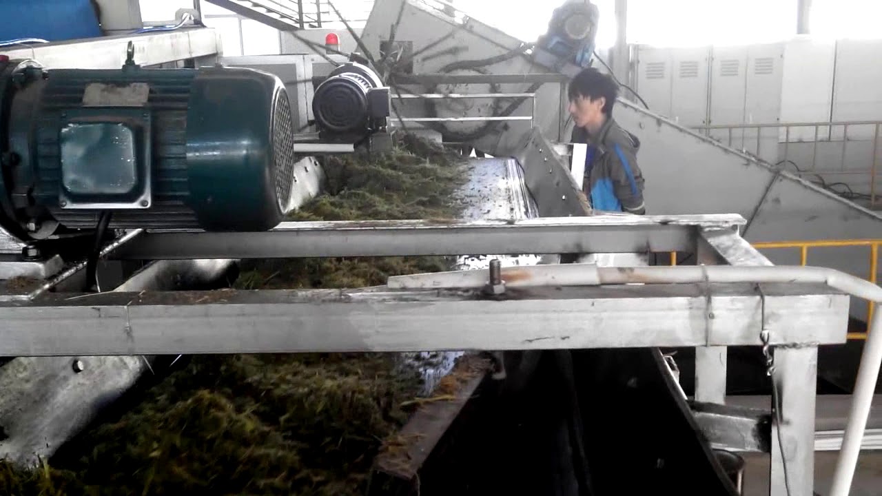 Grass,Wheat Dewatering by Squeezing Type Belt Press