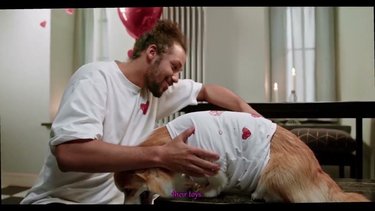Is Your Pets Happiness at Risk The Hidden Dangers of Their Favorite Comfort Items