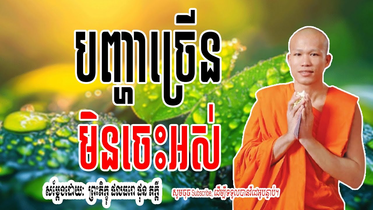បញ្ហាច្រើន-មិនចេះចប់ - សម្តែងដោយៈ​  ព្រះភិក្ខុ ផលធរោ ផុន ភក្តី 🌷🙏 | Dharma-ព្រះធម៌🌷🙏