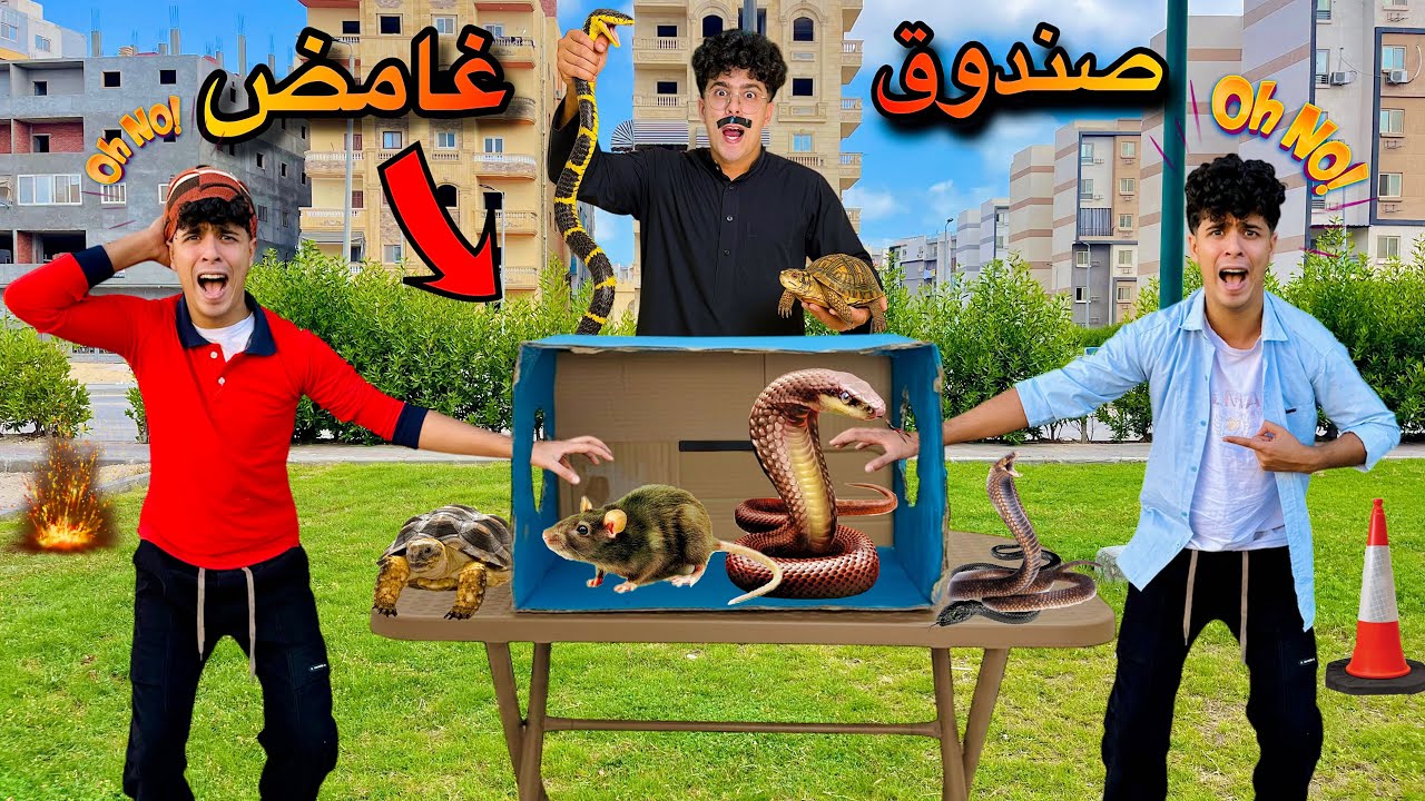 فيلم🔥ماذا يوجد داخل الصندوق?تحديت اخويا الصغير😱(فار-ثعبان-سلحفاء)