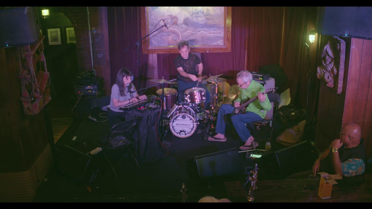Improv Jazz w/ Mike Watt, Corey Fogel, Judith Berkson live at The Redwood Bar