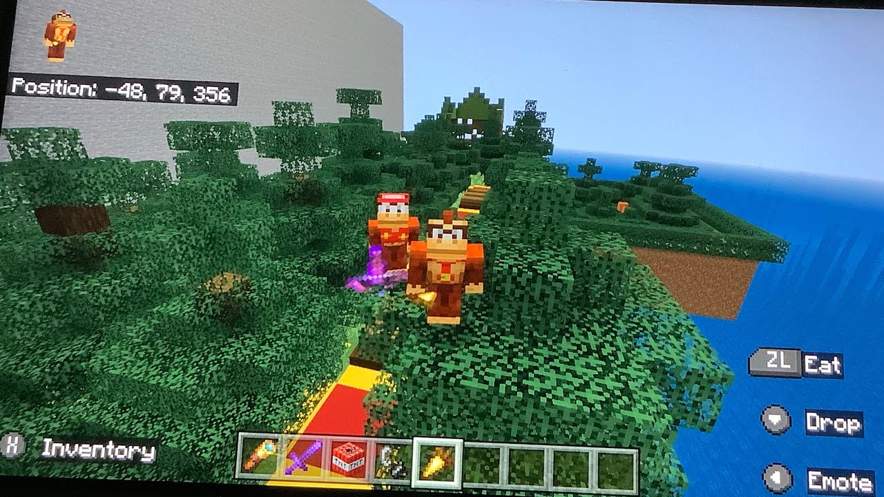 Minecraft Donkey Kong Country Returns “Battle of the Lightning Snake”
