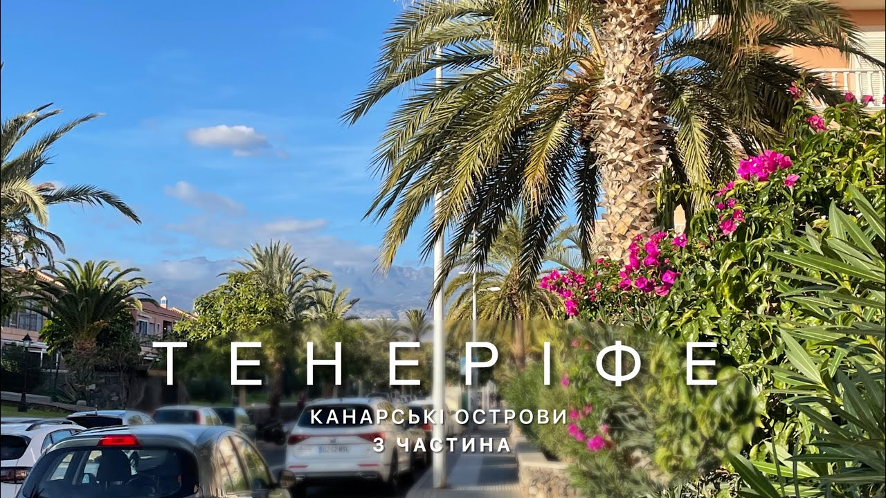 Тенеріфе 3ч|Кити в Атлантичному океані|Abama beach|переїзд в Los Cristianos