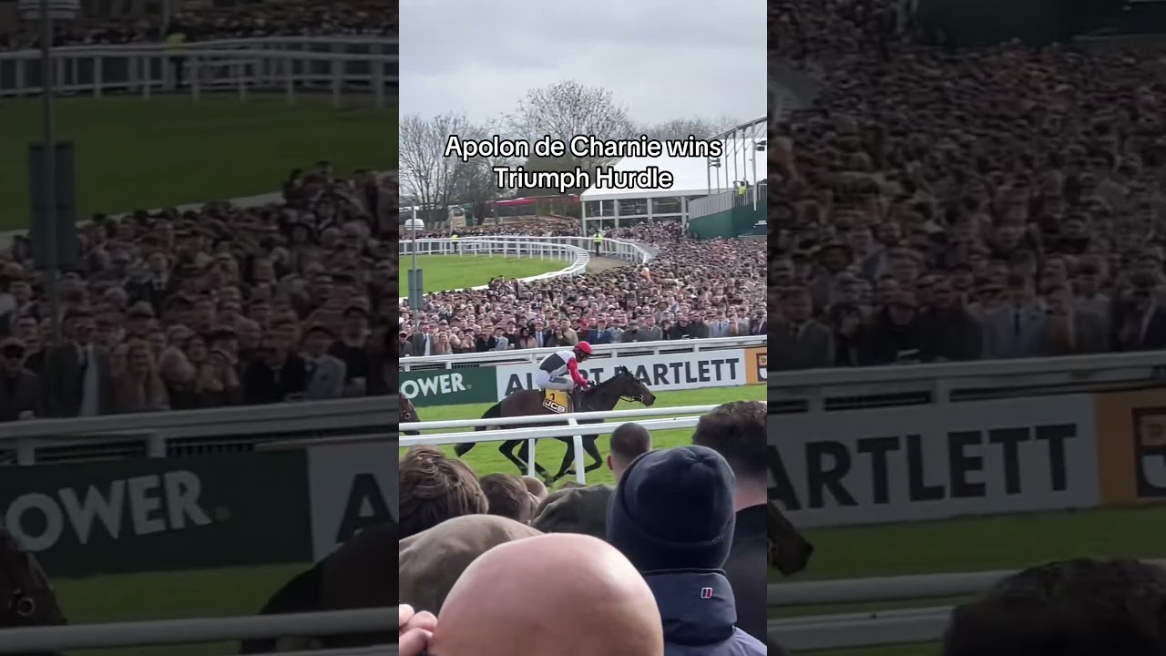 Team Mullins kick off Gold Cup Day with a win in the Triumph Hurdle #shorts