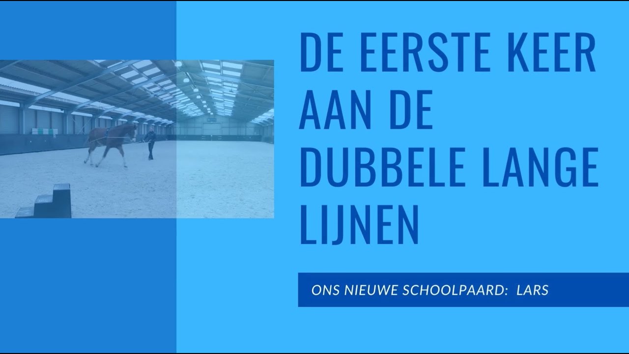 Ons nieuwe schoolpaard Lars aan de Dubbele Lijnen