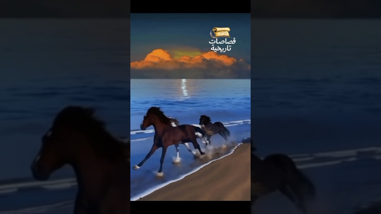  الستر رداء اللطف 