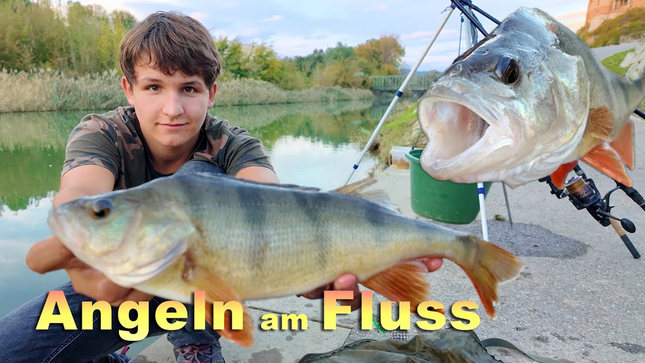 Angeln am Fluss auf Barsch und andere Fische + Köderfische fangen 👀 🐟 Fischen in Melk an der Donau