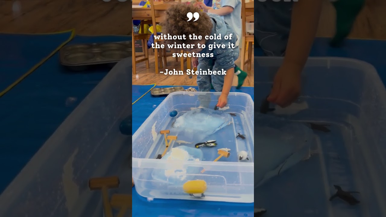 Magic of the Seasons: Ice 1/16