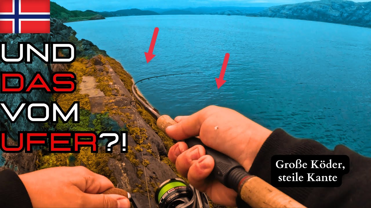ANGELN in NORWEGEN auf HEILBUTT vom Ufer - Geht das?