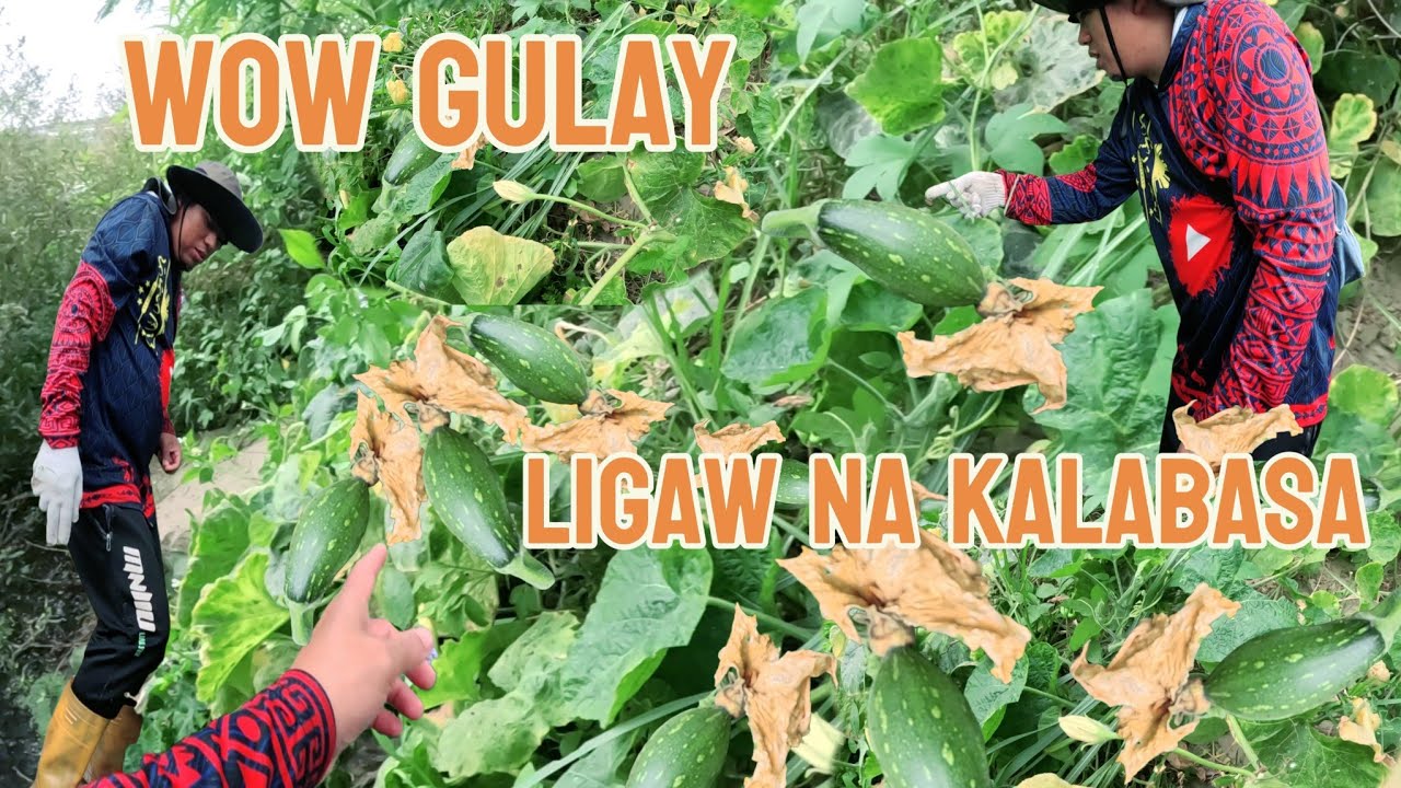 Extreme fishing|| HALA!! SOBRANG KABA KO MUNTIK NG MATANGAY SI BRO SA MALAKAS NA HAGOS