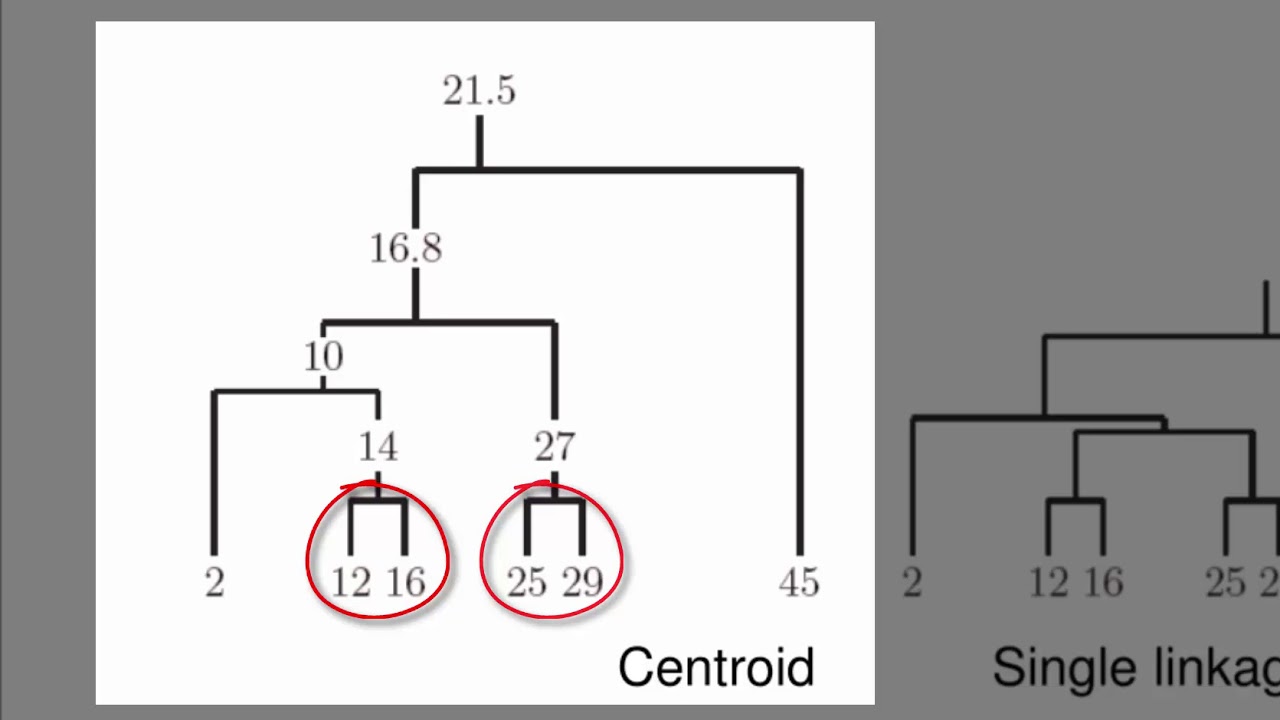Hierarchical Clustering