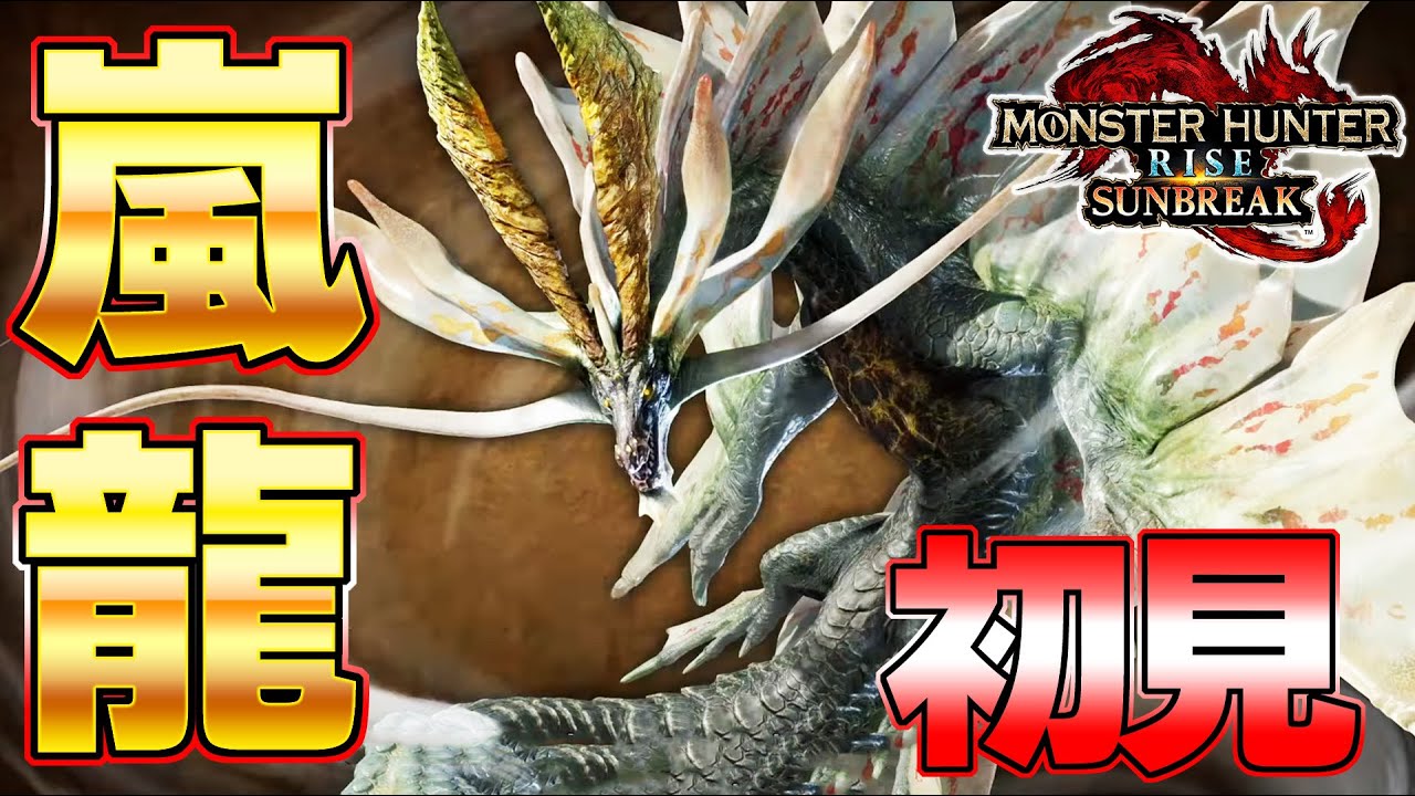 最終決戦！厄災の嵐龍 アマツマガツチ 太刀 ソロ 初見 生放送切り抜き『MHSB:モンスターハンターライズ：サンブレイク』