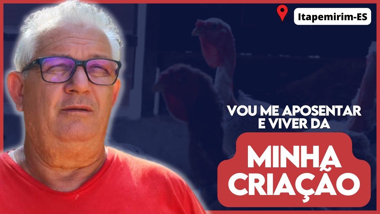 Quero viver de minha criação de GALINHAS. Criador de Índio Gigante e Polaco Gigante