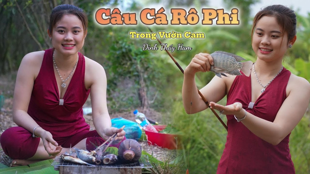 Câu Cá Rô Phi Trong Vườn Cam Dính Thấy Ham