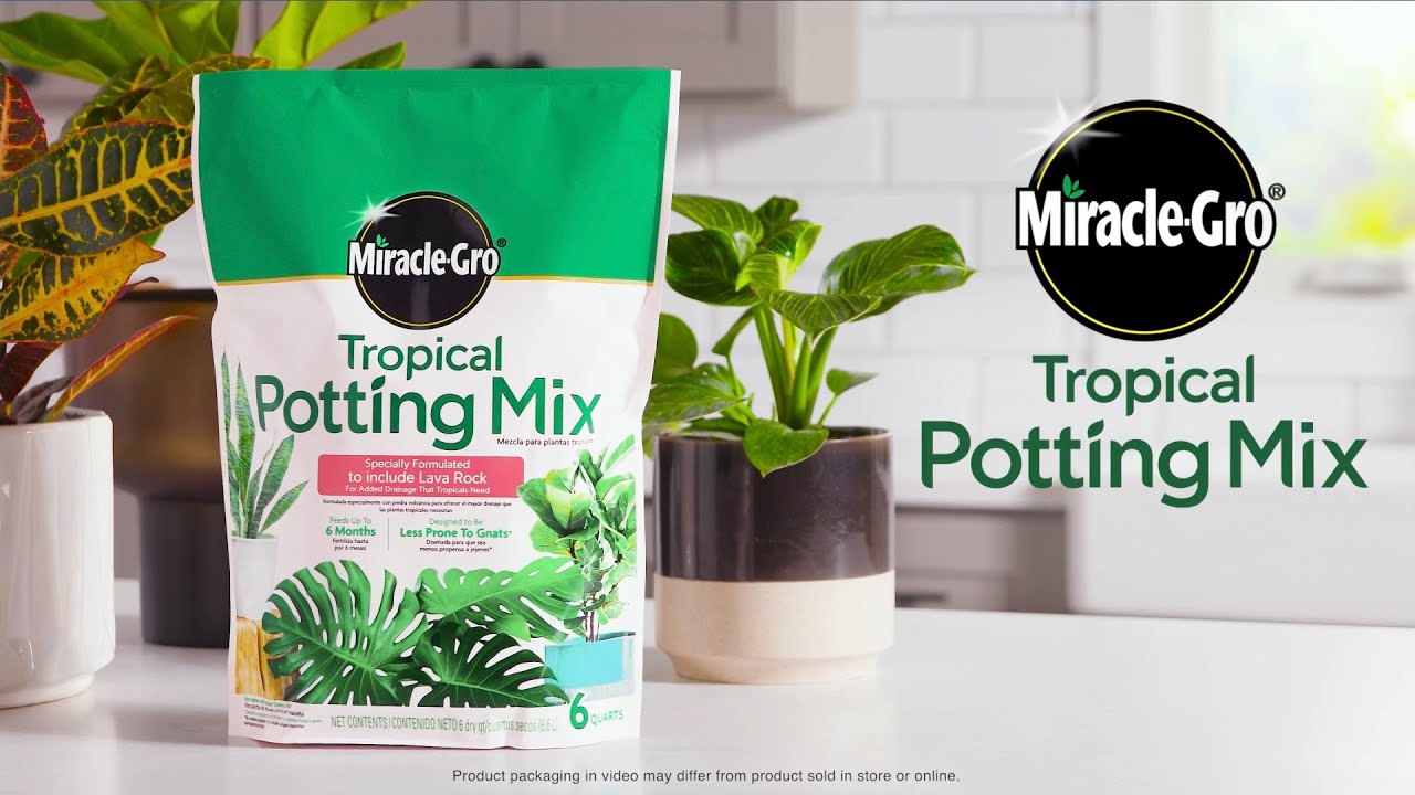 How To Use Miracle-Gro&reg; Tropical Potting Mix