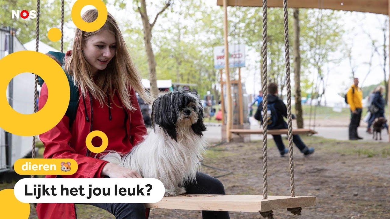 Groot festival voor mensen én huisdieren