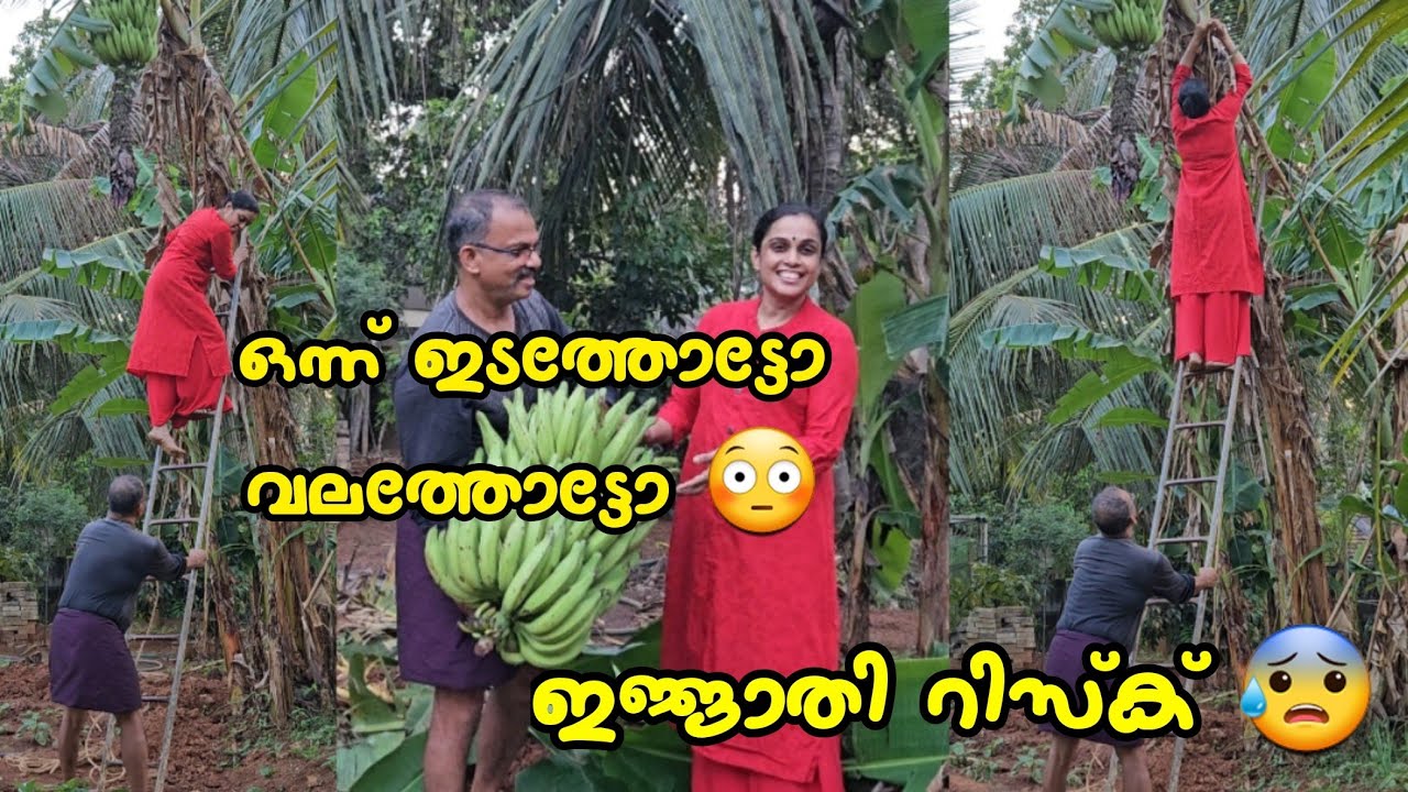 ഒന്ന് ഇടത്തോട്ടോ വലത്തോട്ടോ 😳 ഇജ്ജാതി risk 😰 | Paal kappa, chicken curry🤤